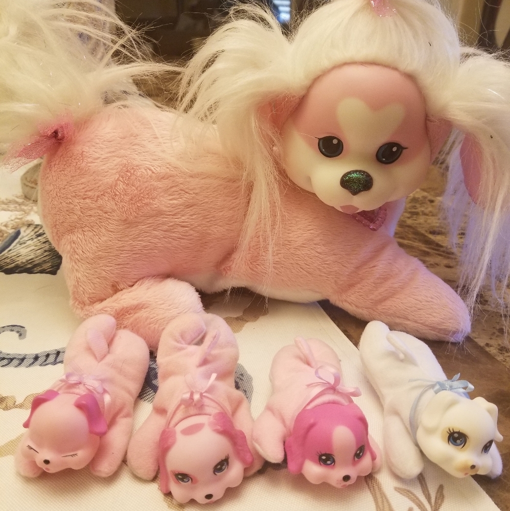 Puppy Suprise